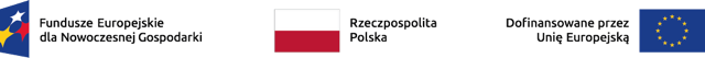 Fundusze Europejskie dla Nowoczesnej Gospodarki, Rzeczpospolita Polska, Dofinansowane przez Unię Europejską